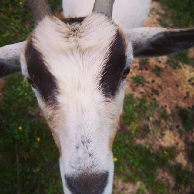 Curious